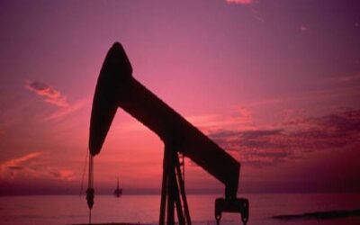 With which South Texas Oil Company should I Invest?